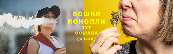 индика Бронницы